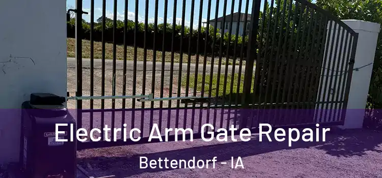 Electric Arm Gate Repair Bettendorf - IA