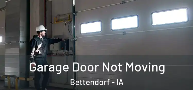  Garage Door Not Moving Bettendorf - IA