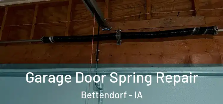  Garage Door Spring Repair Bettendorf - IA