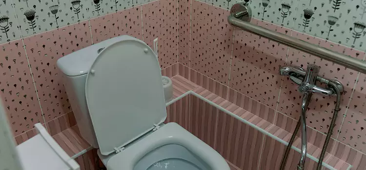 Meeting Diverse Needs With Accessible Restroom Solutions in Bettendorf, IA
