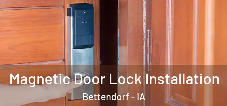  Magnetic Door Lock Installation Bettendorf - IA