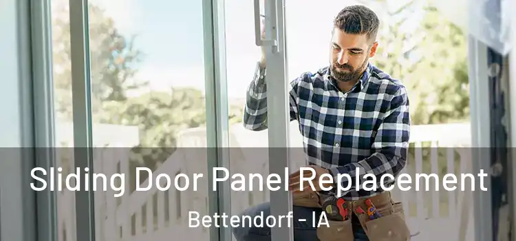  Sliding Door Panel Replacement Bettendorf - IA